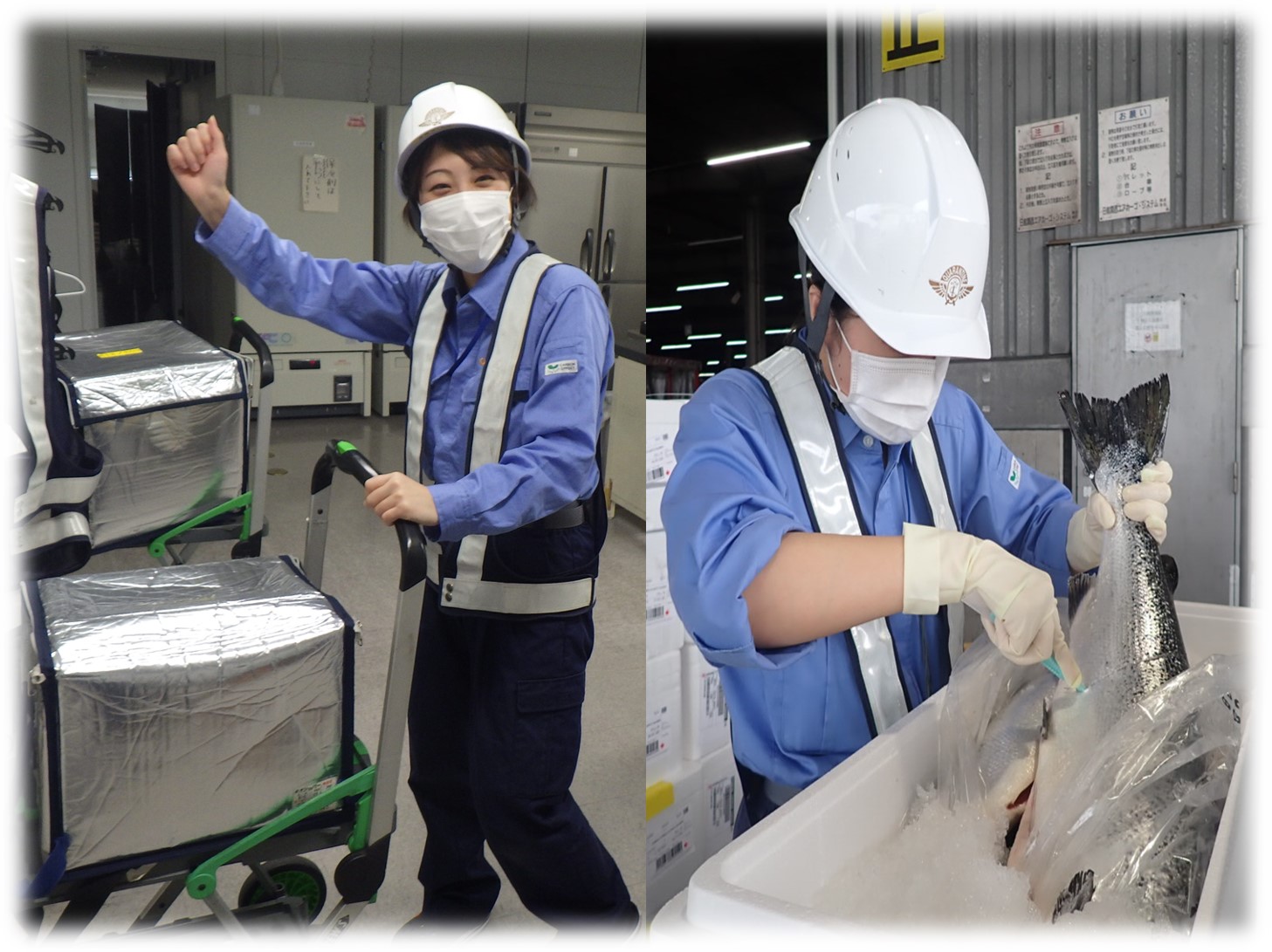 関西空港検疫所 食品監視課 関西空港検疫所 食品監視課
